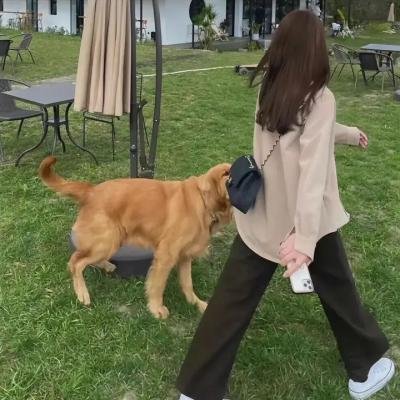 痞子高手